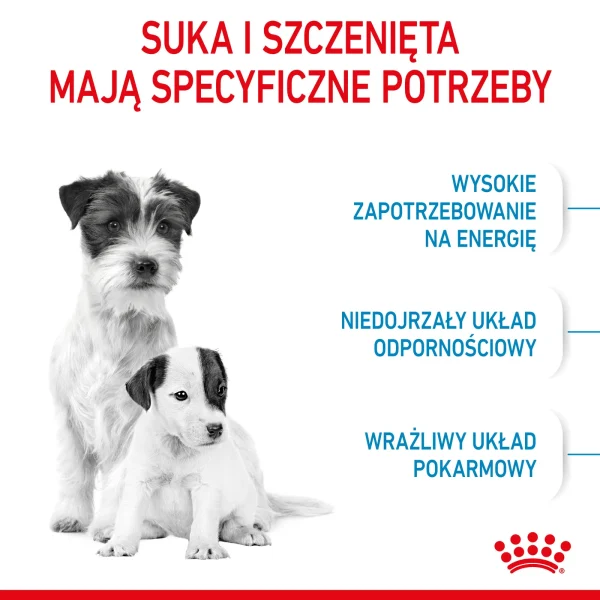 Karma sucha Royal Canin Mini Starter dla szczeniąt małych ras 1 kg — widok 4