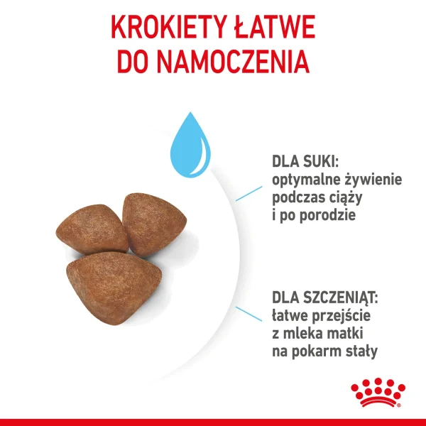 Karma sucha Royal Canin Mini Starter dla szczeniąt małych ras 1 kg — widok 6