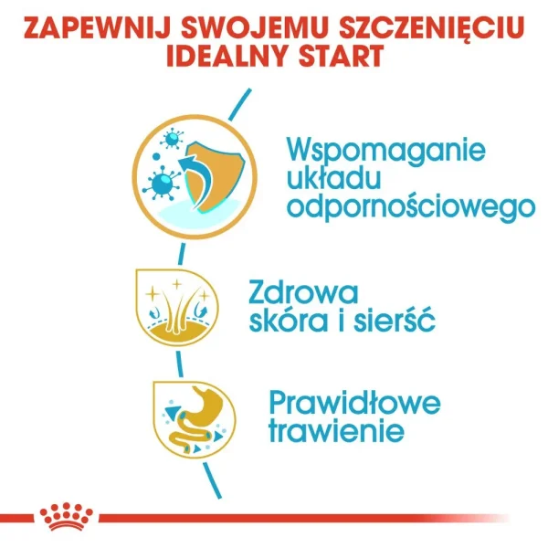 Karma sucha Royal Canin Shih Tzu Puppy dla szczeniąt rasy shih tzu 1,5 kg — widok 4