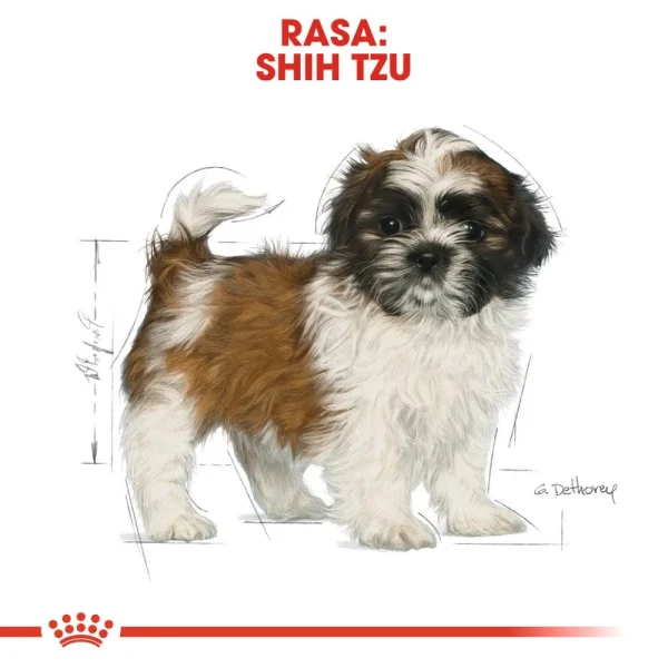 Karma sucha Royal Canin Shih Tzu Puppy dla szczeniąt rasy shih tzu 1,5 kg — widok 5