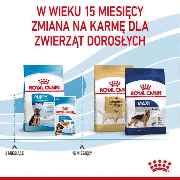 Karma sucha Royal Canin Maxi Puppy dla szczeniąt ras dużych 15 kg — widok 8