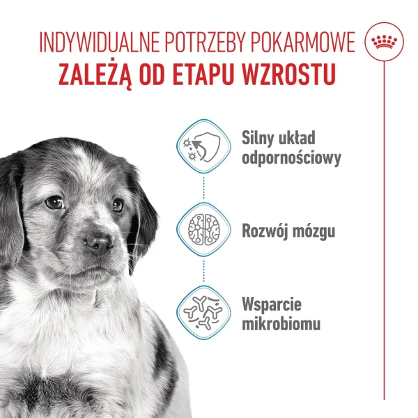 Karma sucha Royal Canin Medium Puppy dla szczeniąt ras średnich 15 kg — widok 4