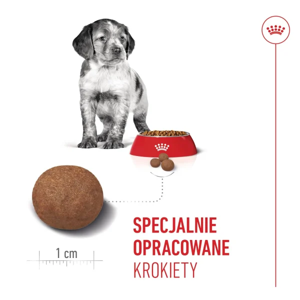 Karma sucha Royal Canin Medium Puppy dla szczeniąt ras średnich 15 kg — widok 5