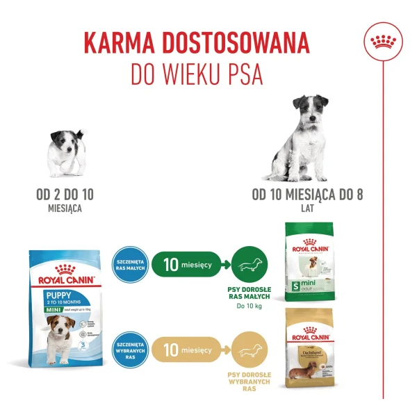 Karma sucha Royal Canin Mini Puppy dla szczeniąt ras małych 8 kg — widok 9