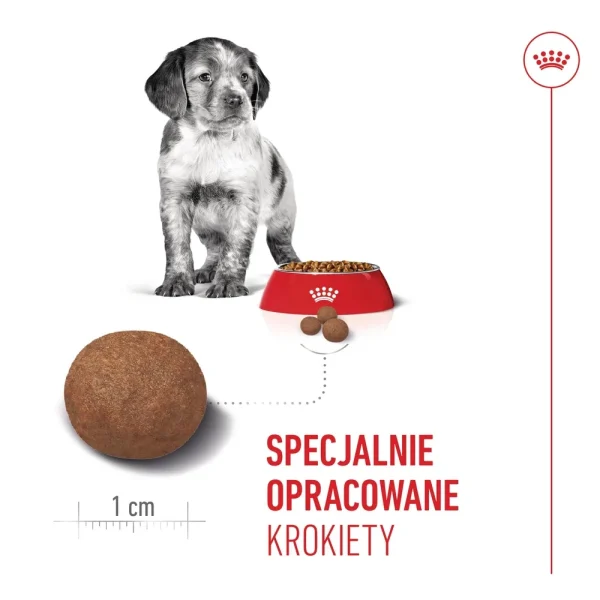Karma sucha Royal Canin Medium Puppy dla szczeniąt ras średnich 4 kg — widok 5