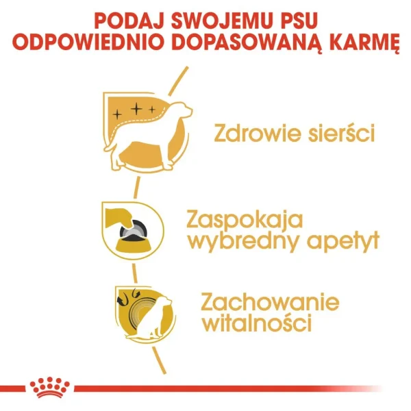Karma sucha Royal Canin Yorkshire Terrier Adult dla psów rasy yorkshire terrier 500 g — widok 4