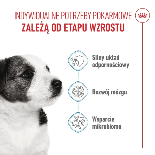 Karma sucha Royal Canin Mini Puppy dla szczeniąt ras małych Drób 2 kg — widok 3