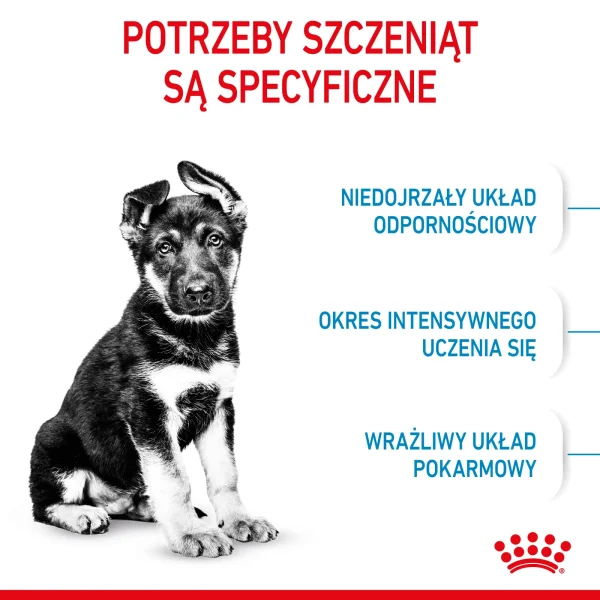 Karma sucha Royal Canin Maxi Puppy dla dużych szczeniąt 4 kg — widok 4
