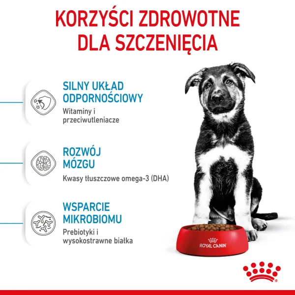 Karma sucha Royal Canin Maxi Puppy dla dużych szczeniąt 4 kg — widok 5