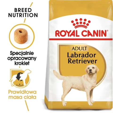 Karma sucha Royal Canin Labrador Retriever Adult dla dużych ras 12 kg