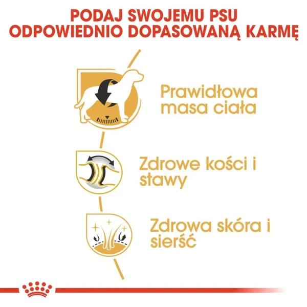 Karma sucha Royal Canin Labrador Retriever Adult dla dużych ras 12 kg — widok 5
