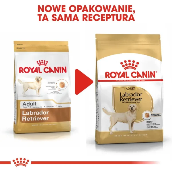 Karma sucha Royal Canin Labrador Retriever Adult dla dużych ras 12 kg — widok 8