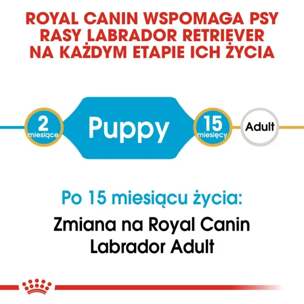 Karma sucha Royal Canin Labrador Retriever Puppy dla szczeniąt rasy Labrador Retriever 12 — widok 4