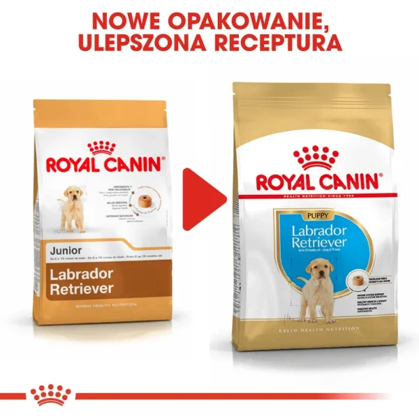 Karma sucha Royal Canin Labrador Retriever Puppy dla szczeniąt rasy Labrador Retriever 12 — widok 9