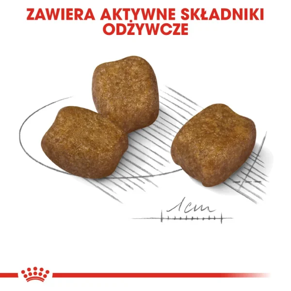 Karma sucha Royal Canin Dental Care Mini dla psów małych ras 8 kg — widok 4