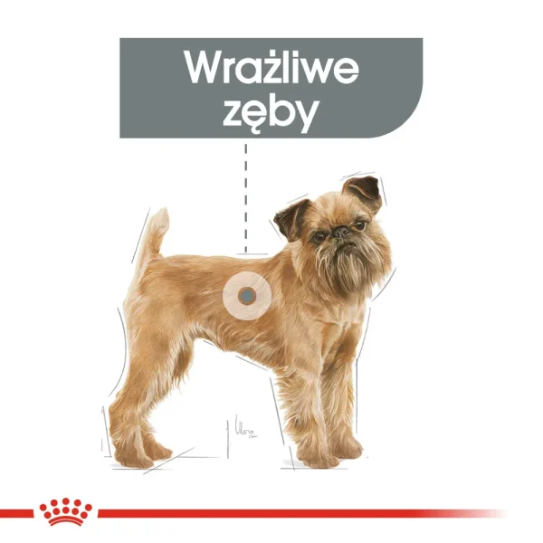 Karma sucha Royal Canin Dental Care Mini dla małych ras 3 kg — widok 2