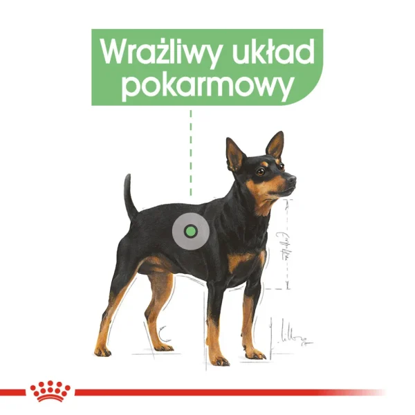 Karma sucha Royal Canin Digestive Care Mini dla małych ras 8 kg — widok 3