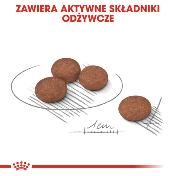Karma sucha Royal Canin Digestive Care Mini dla małych ras 8 kg — widok 5