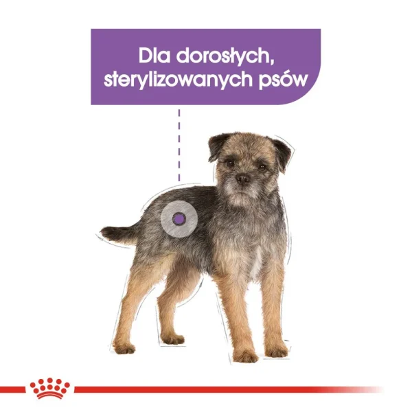 Karma sucha Royal Canin Sterilised Mini dla małych ras po sterylizacji 3 kg — widok 3