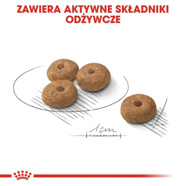 Karma sucha Royal Canin Sterilised Mini dla małych ras po sterylizacji 3 kg — widok 5