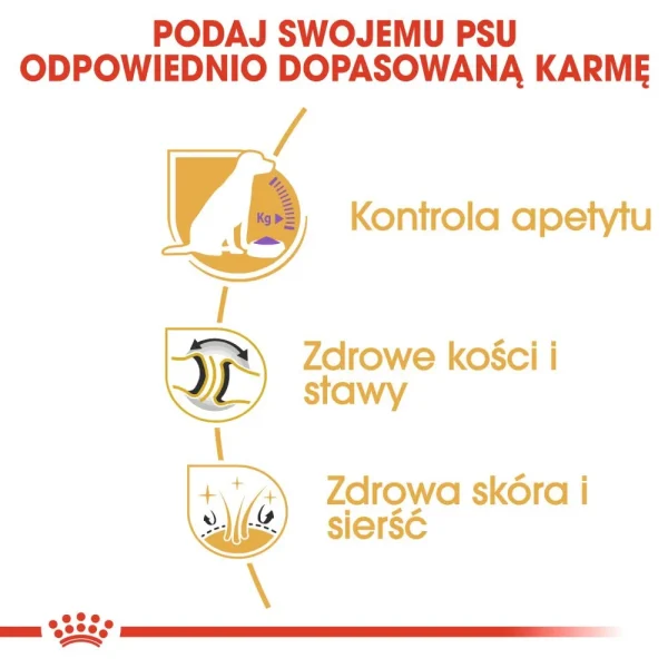 Karma sucha Royal Canin Labrador Retriever Sterilised dla dorosłych psów rasy labrador — widok 5