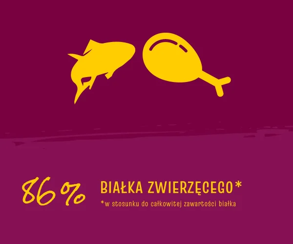 Karma sucha JosiCat Classic Sterilised dla dorosłych kotów sterylizowanych 10 kg — widok 4
