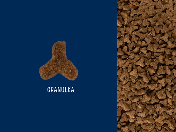 Karma sucha JosiCat Josera Crispy Duck dla dorosłych kotów Kaczka 10 kg — widok 9