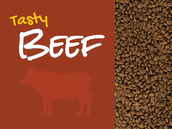 Karma sucha JosiCat Josera Tasty Beef dla dorosłych kotów Wołowina 10 kg — widok 9