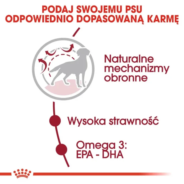 Karma sucha Royal Canin Medium Adult dla psów średnich ras 4 kg — widok 4