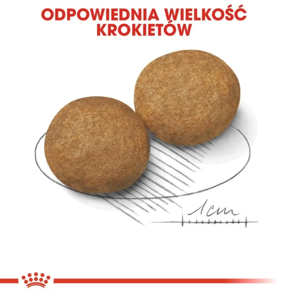 Karma sucha Royal Canin Medium Adult dla psów średnich ras 4 kg — widok 5