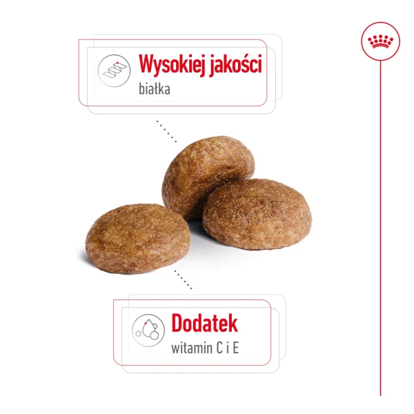 Karma sucha Royal Canin Medium Adult 7+ dla psów średnich i dużych 15 kg — widok 4