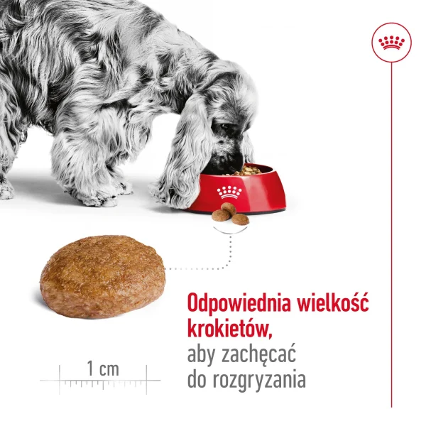 Karma sucha Royal Canin Medium Adult 7+ dla psów średnich i dużych 15 kg — widok 5