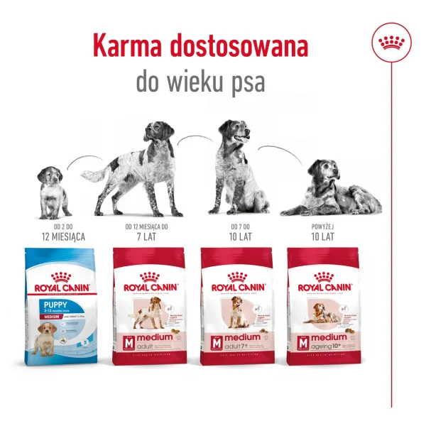 Karma sucha Royal Canin Medium Adult 7+ dla psów średnich i dużych 15 kg — widok 6