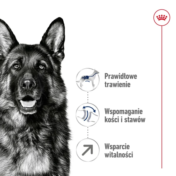 Karma sucha Royal Canin Maxi Adult 5+ dla psów dużych 15 kg — widok 4