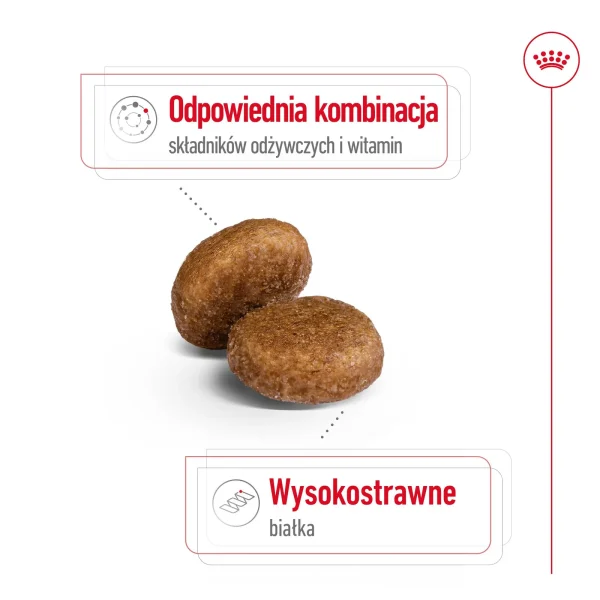 Karma sucha Royal Canin Maxi Adult 5+ dla psów dużych 15 kg — widok 5