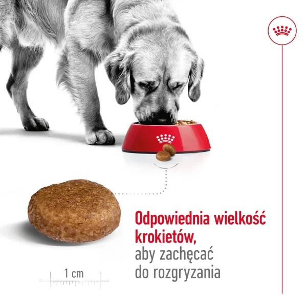 Karma sucha Royal Canin Maxi Adult 5+ dla psów dużych 15 kg — widok 6