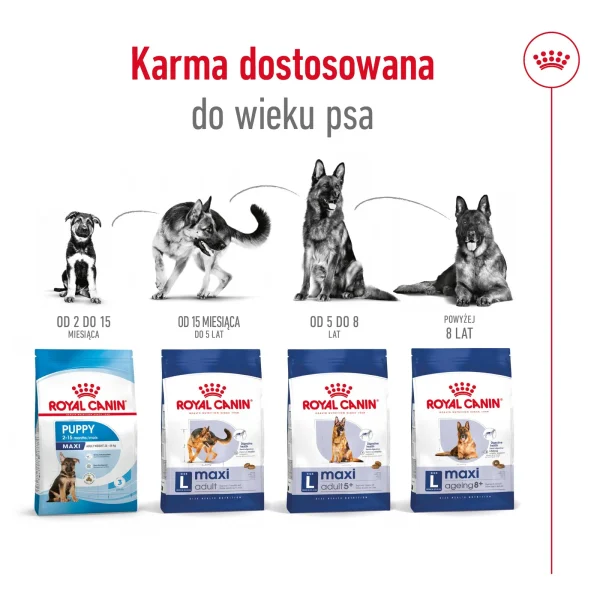 Karma sucha Royal Canin Maxi Adult 5+ dla psów dużych 15 kg — widok 7