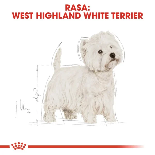 Karma sucha Royal Canin West Highland White Terrier Adult dla psów rasy west highland — widok 3