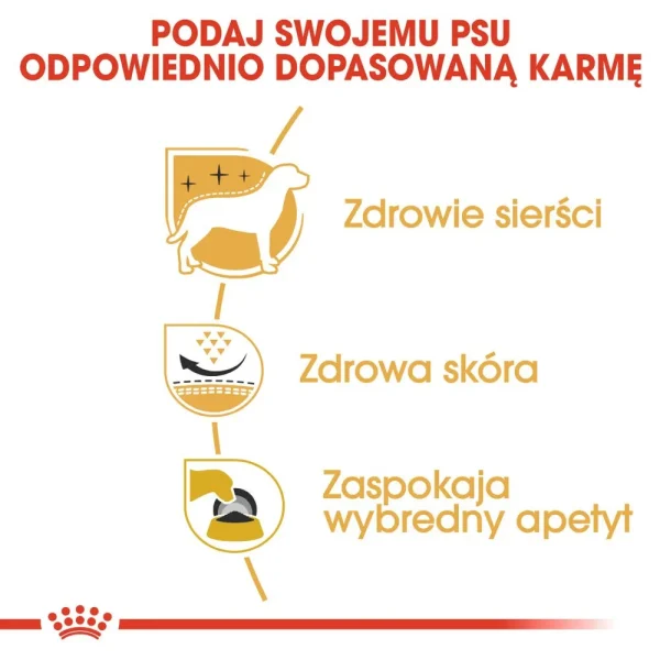 Karma sucha Royal Canin West Highland White Terrier Adult dla psów rasy west highland — widok 5