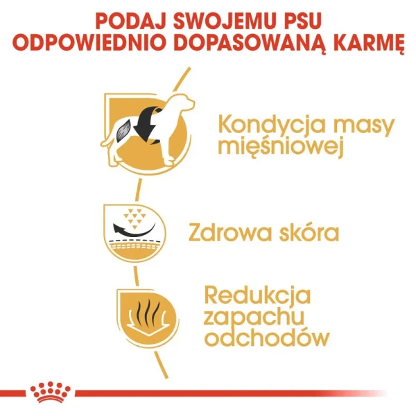 Karma sucha Royal Canin French Bulldog Adult dla buldoga francuskiego 3 kg — widok 5