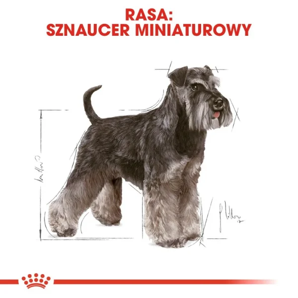 Karma sucha Royal Canin Miniature Schnauzer Adult dla sznaucera miniaturowego 7,5 kg — widok 3