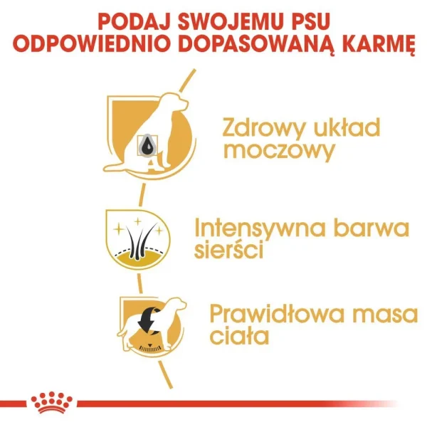 Karma sucha Royal Canin Miniature Schnauzer Adult dla sznaucera miniaturowego 7,5 kg — widok 5