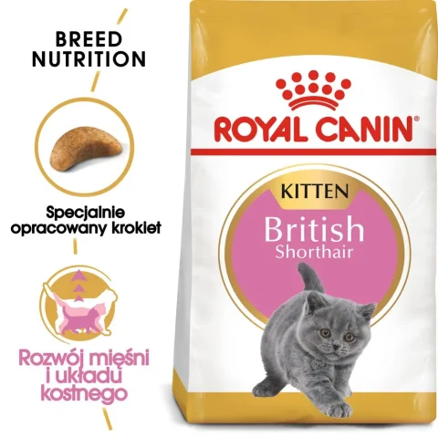 Karma sucha Royal Canin British Shorthair Kitten dla kociąt 2 kg