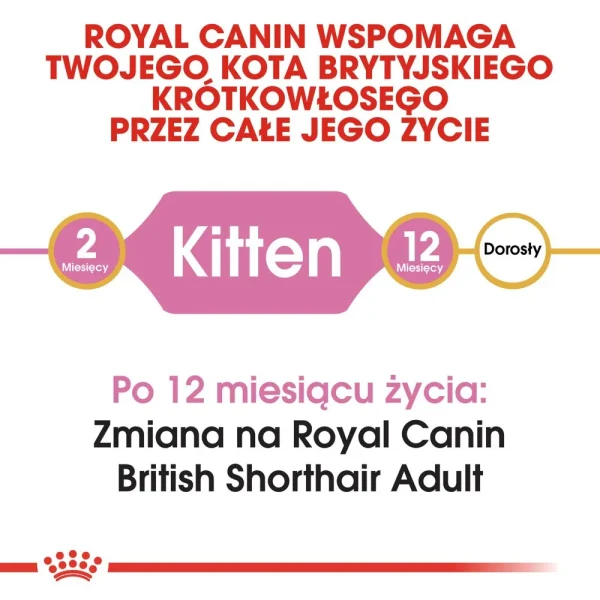 Karma sucha Royal Canin British Shorthair Kitten dla kociąt 2 kg — widok 2