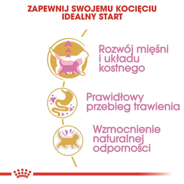 Karma sucha Royal Canin British Shorthair Kitten dla kociąt 2 kg — widok 3