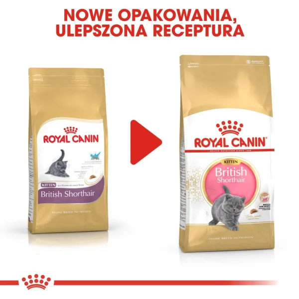 Karma sucha Royal Canin British Shorthair Kitten dla kociąt 2 kg — widok 6