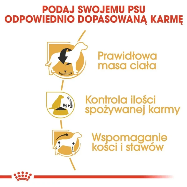 Karma sucha Royal Canin Beagle Adult dla dorosłych beagle 12 kg — widok 4
