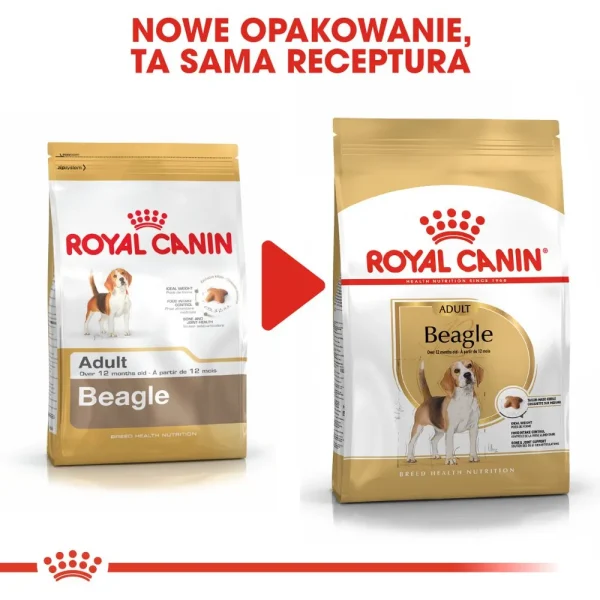 Karma sucha Royal Canin Beagle Adult dla dorosłych beagle 12 kg — widok 5