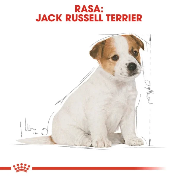 Karma sucha Royal Canin Jack Russell Terrier Puppy dla szczeniąt 3 kg — widok 5