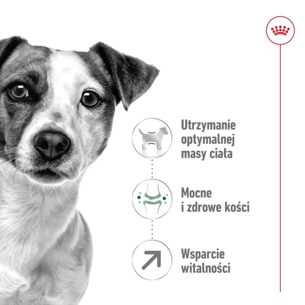 Karma sucha Royal Canin Mini Adult +8 dla psów małych ras powyżej 8 lat 8 kg — widok 3
